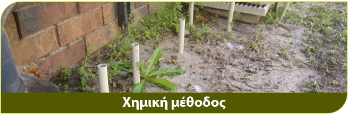 τερμίτες και αποτελεσματική αντιμετώπιση με χημική μέθοδο